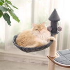 Wooden House Cat Tree