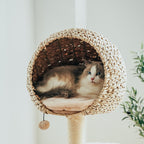 Bird Nest Cat Tree