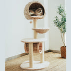 Bird Nest Cat Tree