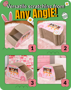 Sweet Cake Series